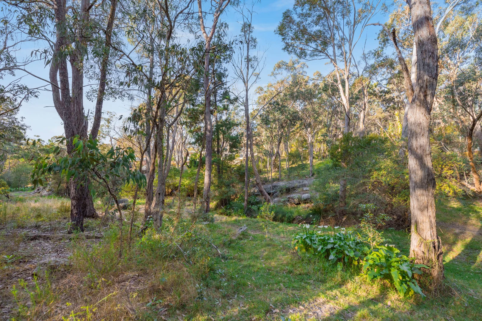 Additional image 5 of 66 West Parade, Buxton NSW 2571