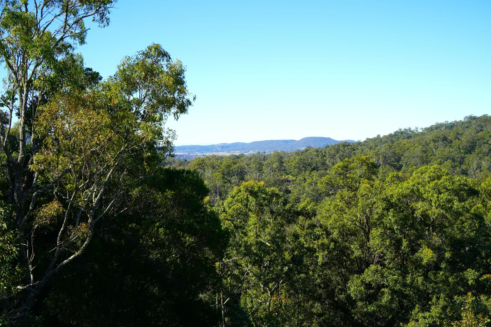 Additional image 26 of 2425 Pine Creek Road, Kyogle NSW 2474