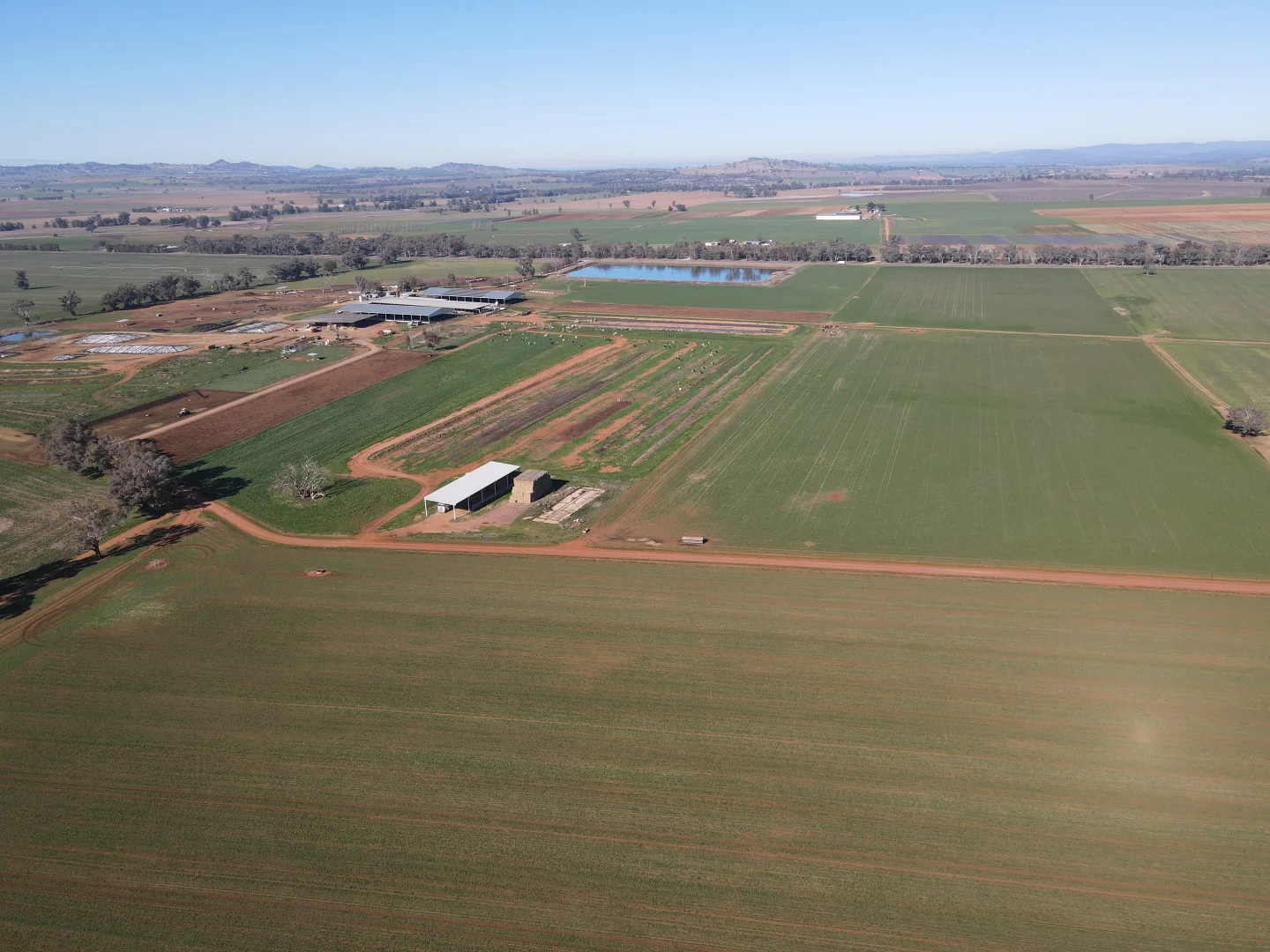 Additional image 25 of 448 Nangar Road, Canowindra NSW 2804