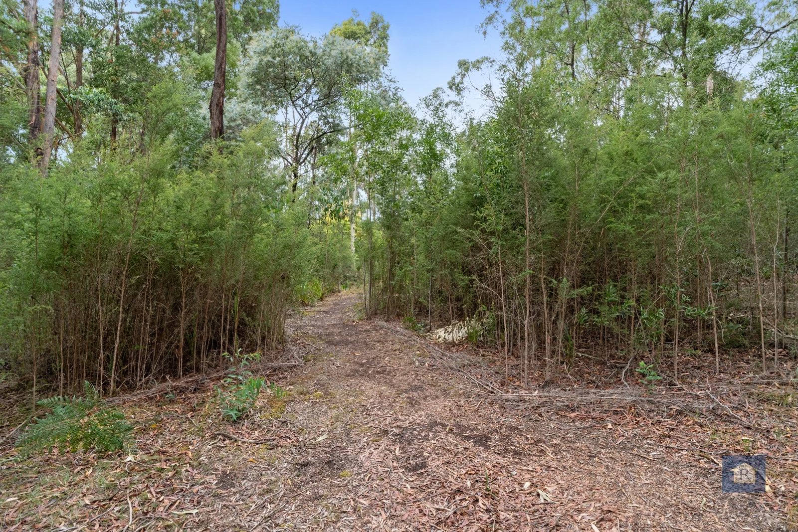 Additional image 14 of 80 Bull Hill Road, Kawarren VIC 3249