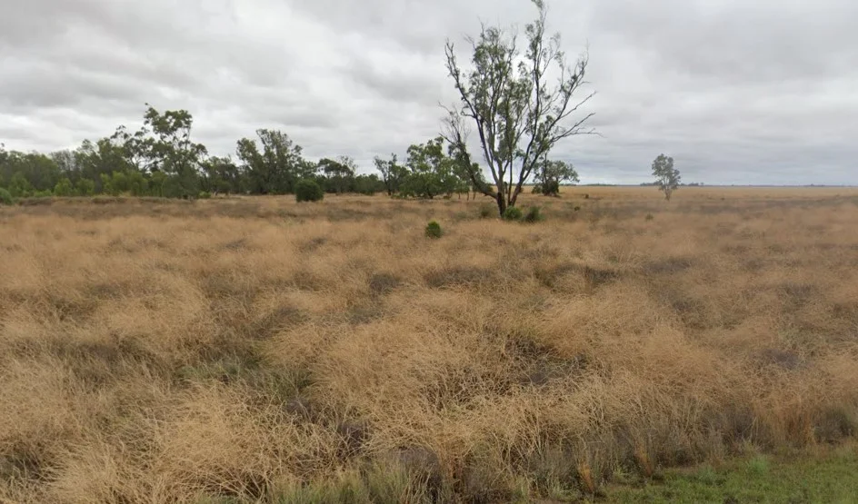 Additional image 3 of 39 Carnarvon Highway, Mungindi NSW 2406