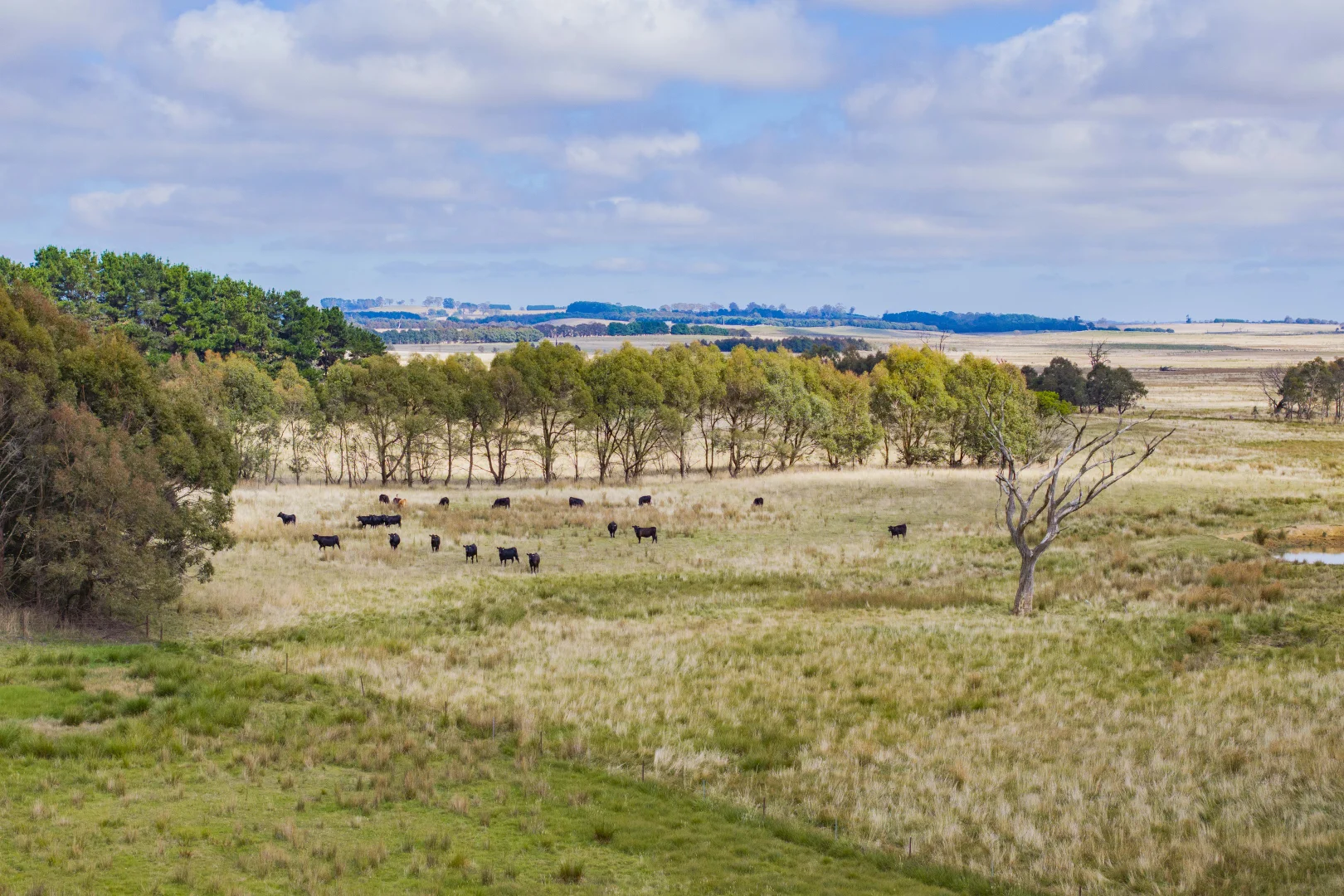 Additional image 29 of 251 Mount Rae Road, Roslyn NSW 2580