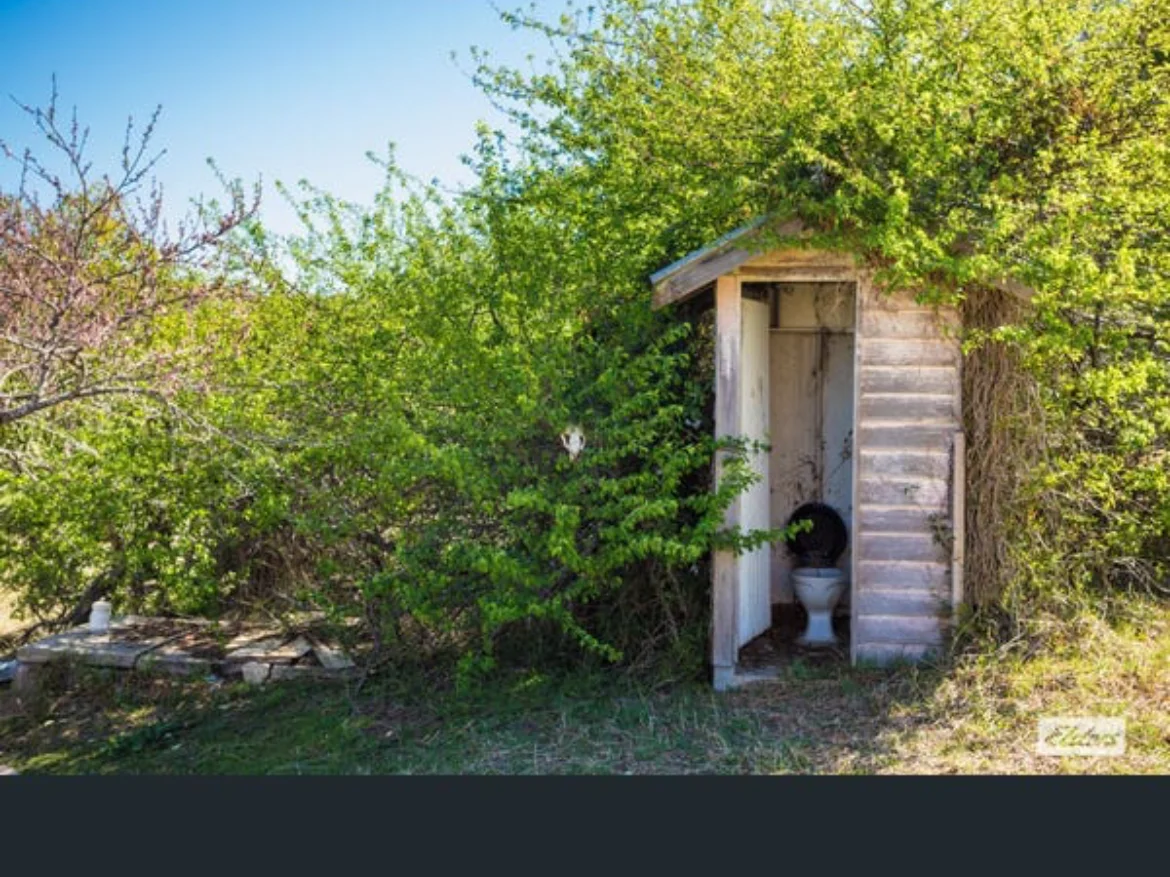 Additional image 17 of 176 Daisy Hill Road, Buckajo NSW 2550