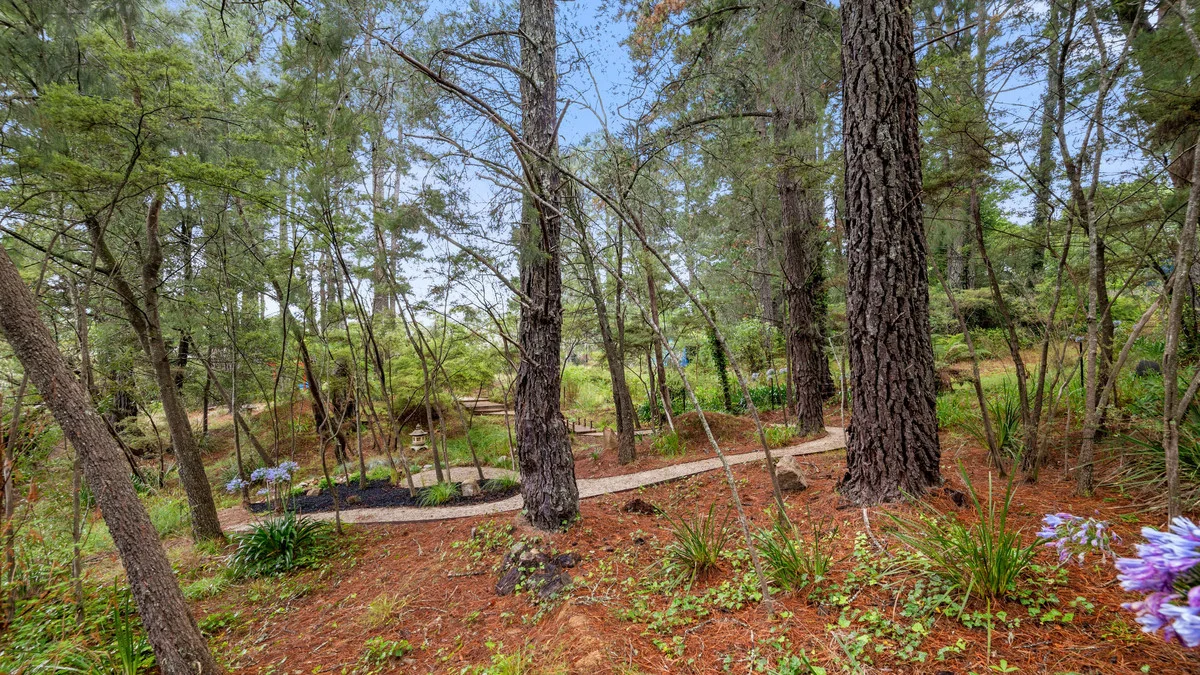 Additional image 10 of 5 Jamieson Street, Wentworth Falls NSW 2782