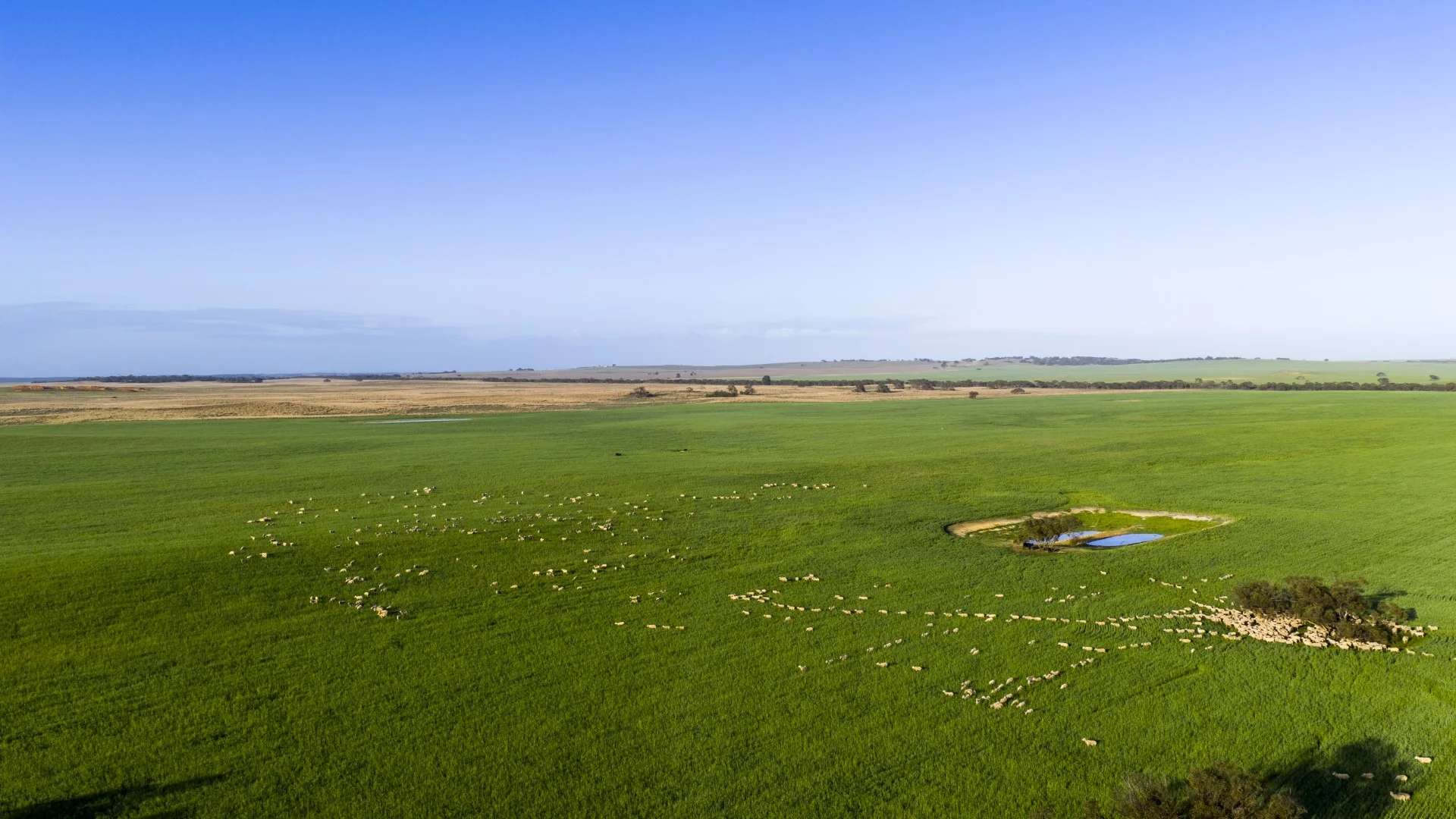 Additional image 7 of 1579 Chappel Road, Telopea Downs VIC 3420