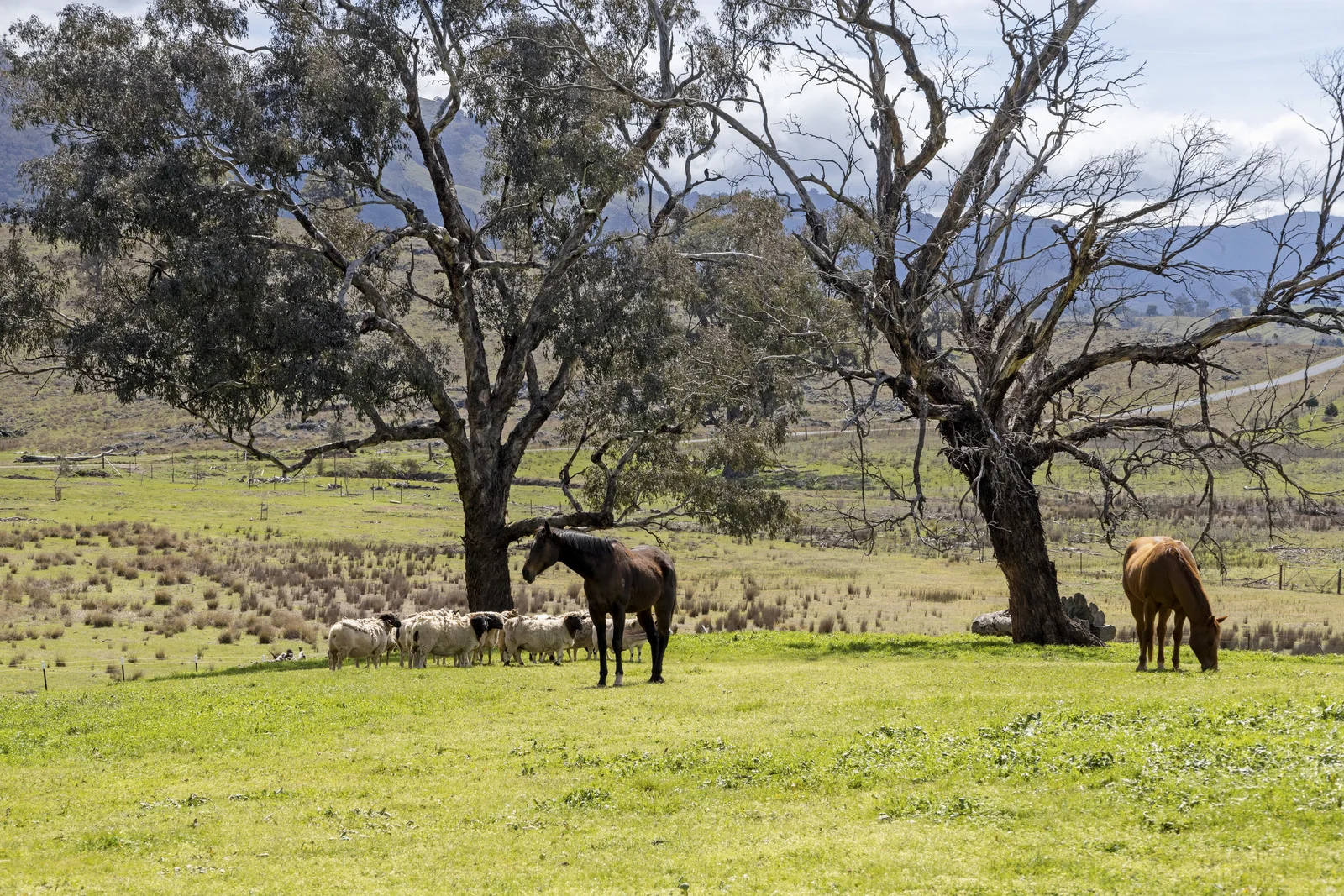 Additional image 13 of 388 Caves Road, Wee Jasper NSW 2582