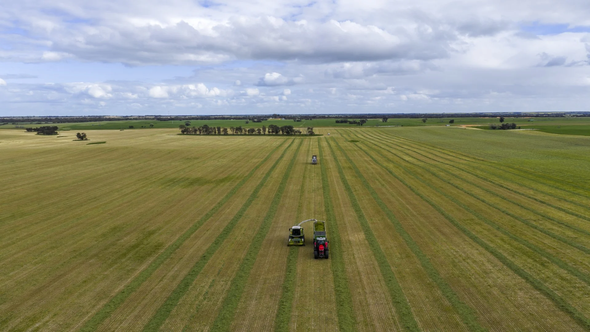 Additional image 3 of 1579 Chappel Road, Telopea Downs VIC 3420