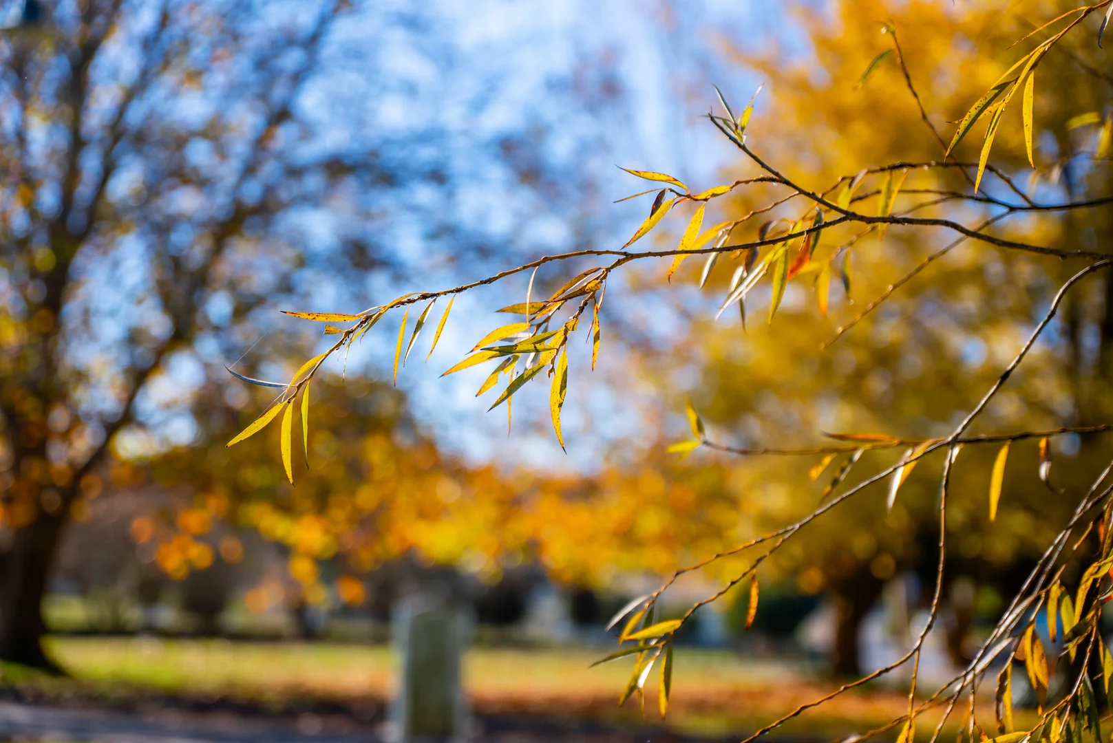 Additional image 14 of Lot 94/135 St Leonards Creek Rd, St Leonards TAS 7250