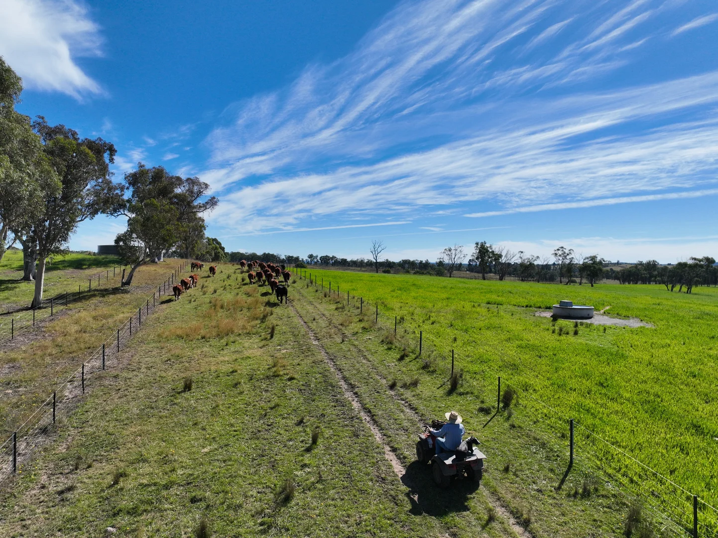 Additional image 30 of 710 Inverary Road, Paddys River NSW 2577