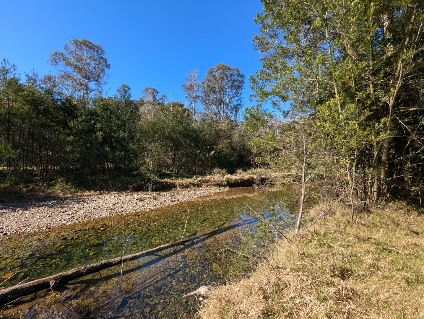 Additional image 26 of 115 Gulph Creek Road, Nerrigundah NSW 2545