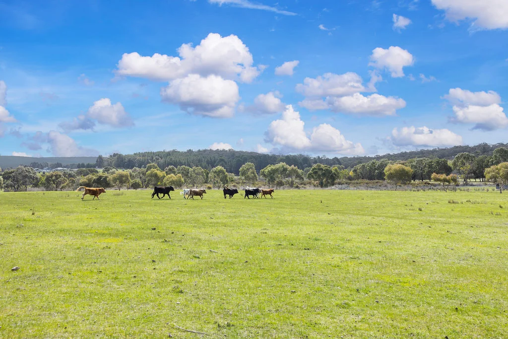 Additional image 5 of 1938 Glenelg Highway, Scarsdale VIC 3351