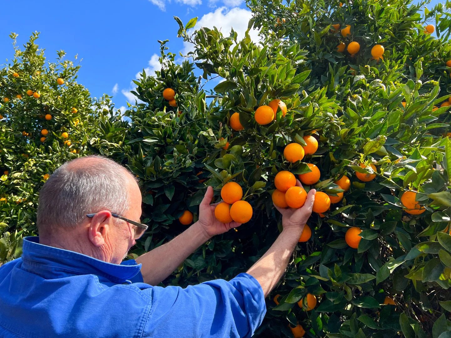 Additional image 5 of 187 Morley Road, Yoogali NSW 2680