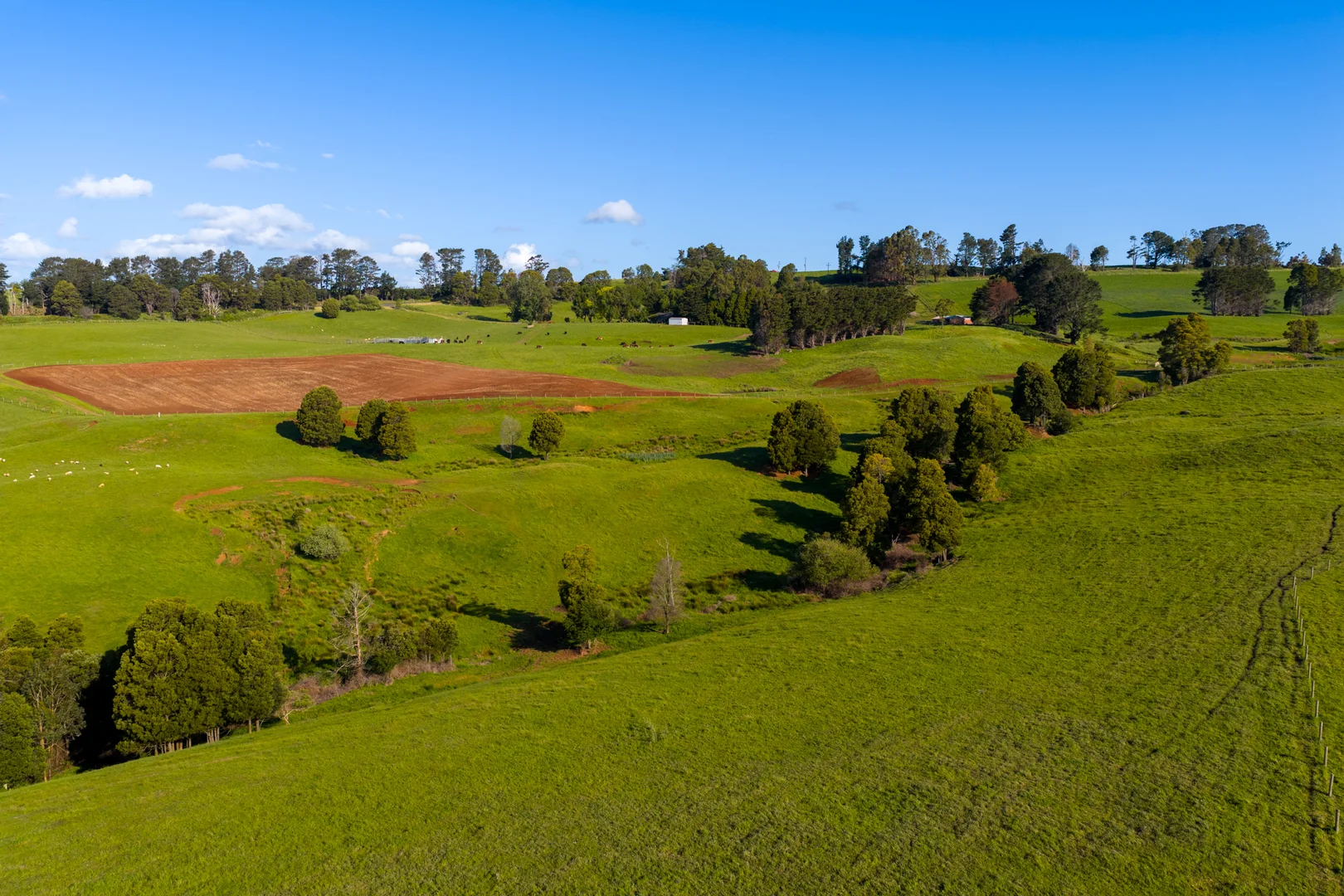Additional image 14 of 520 Foster Road, Boolarra South VIC 3870