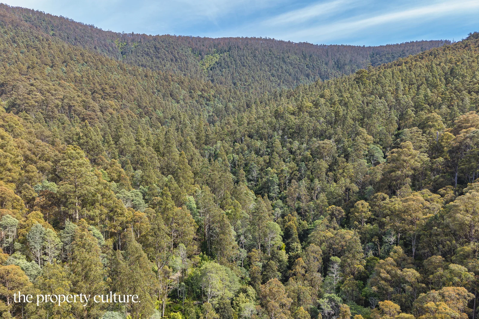 Additional image 23 of 1, 2 & 3 Bakers Creek Rd, Lucaston TAS 7109