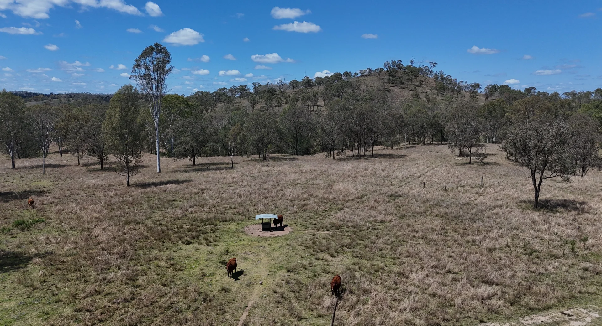 Additional image 26 of 789 Coppin Road, Mungungo QLD 4630