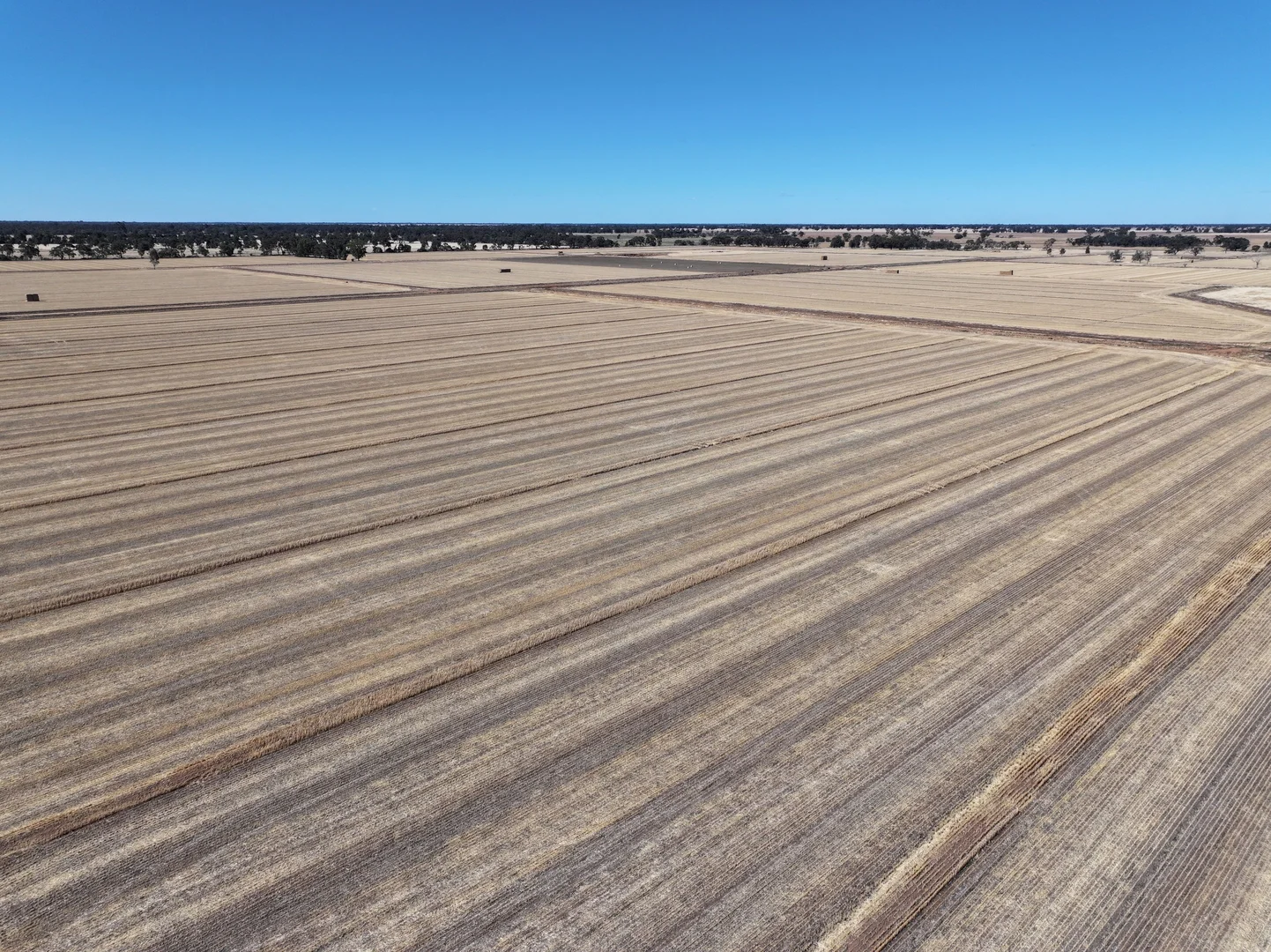 Additional image 12 of 819 Mayrung Road, Deniliquin NSW 2710