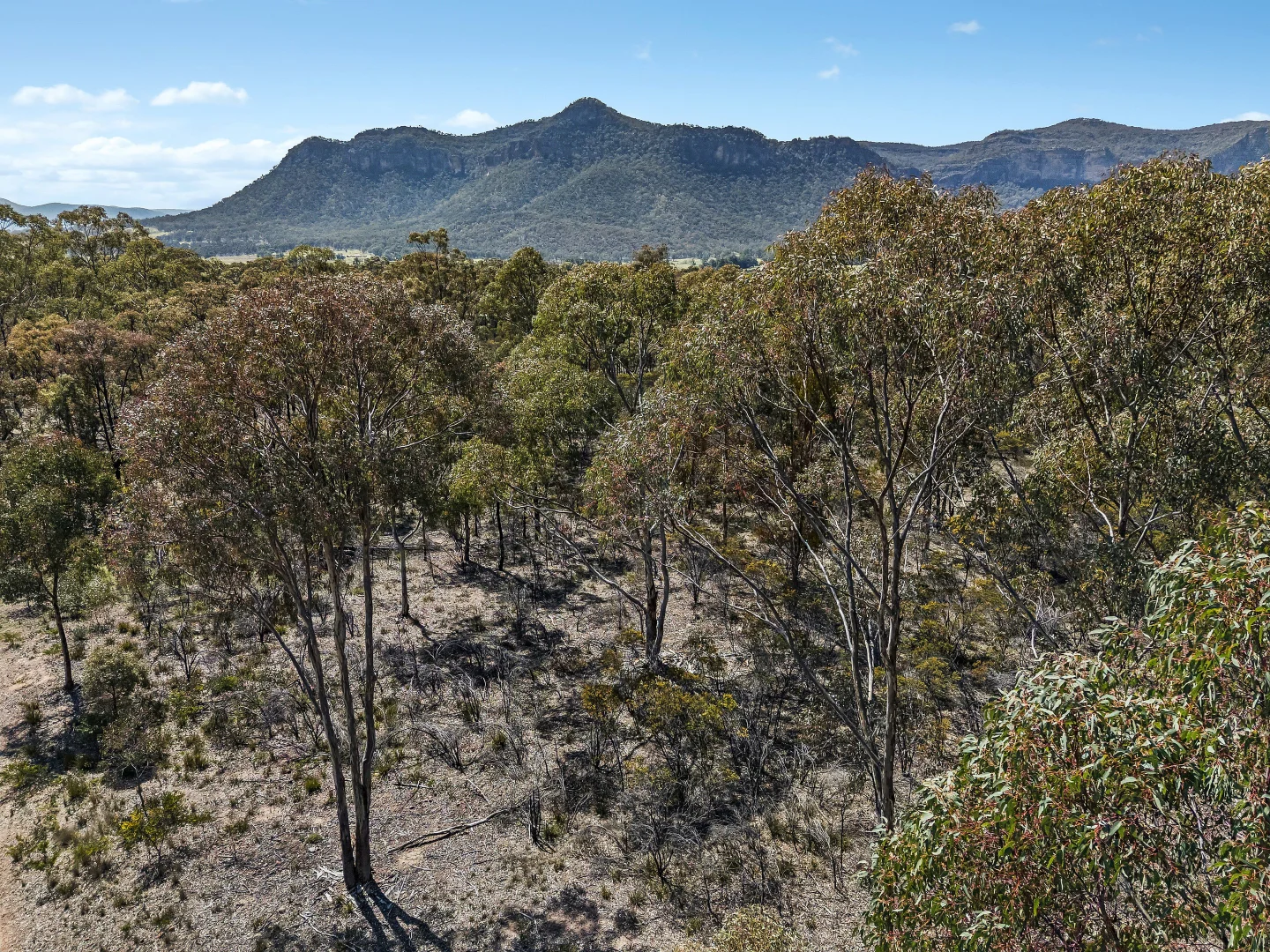 Additional image 8 of 2726 Glen Davis Road, Glen Davis NSW 2846
