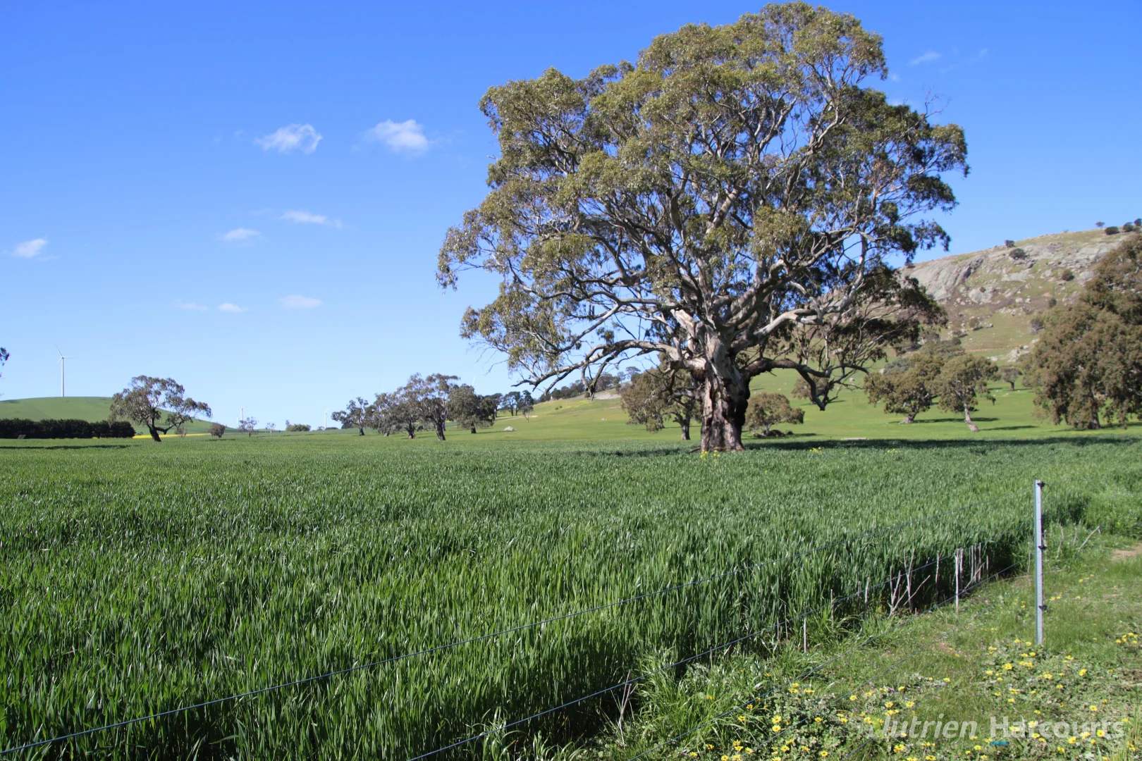 Additional image 4 of Lot 2 Beaufort-Waubra Road, Ercildoune VIC 3352