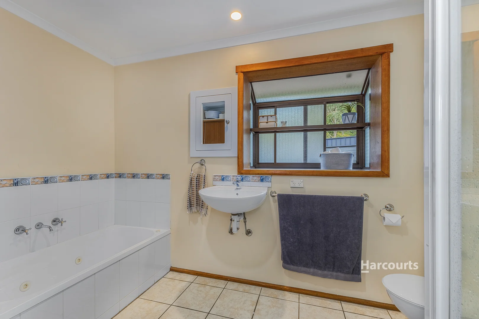 Additional image 16 of 22 Peppermint Drive, Penguin TAS 7316