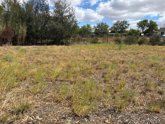 Additional image 5 of 146 Woods Street, Donald VIC 3480