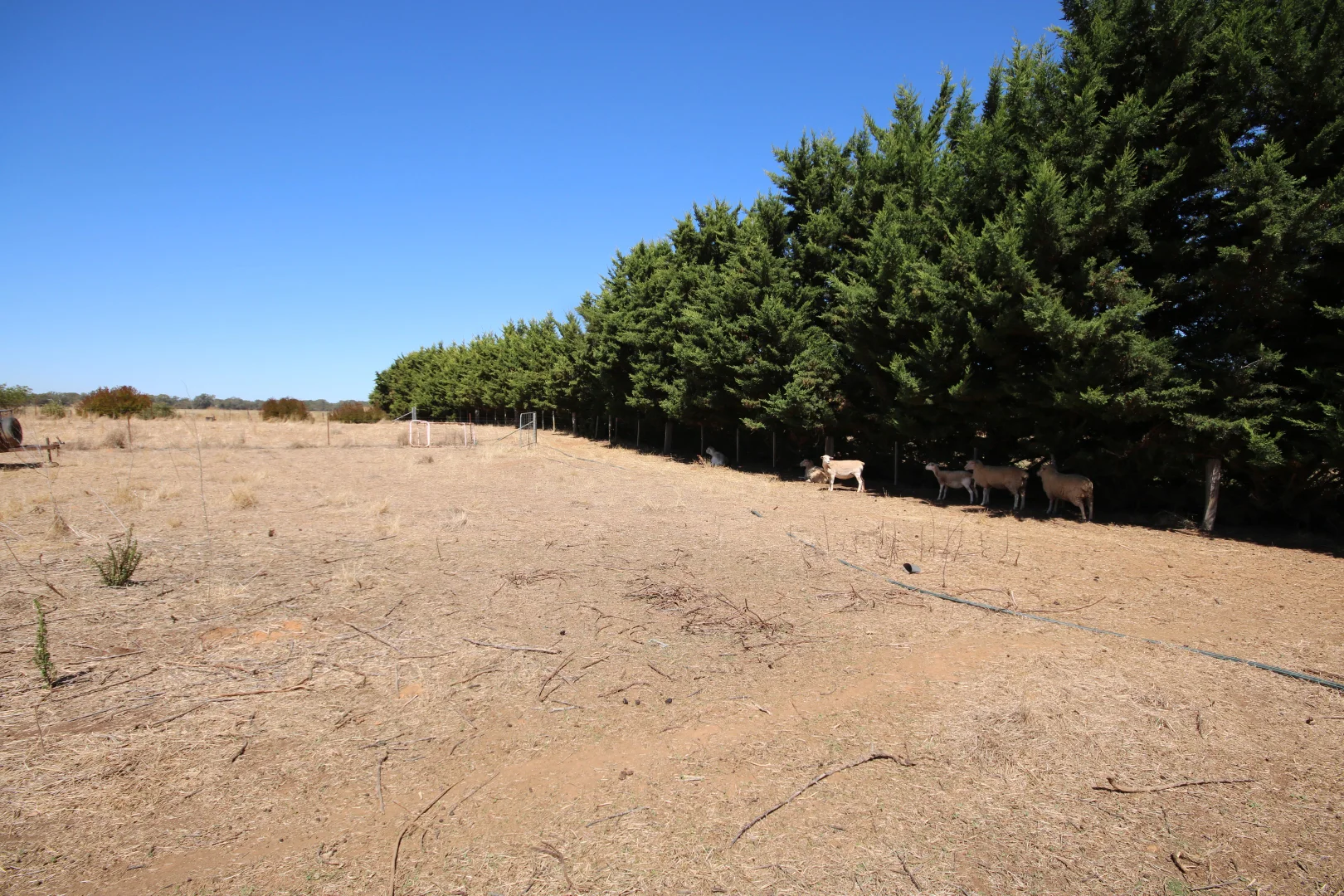 Additional image 7 of 6079 Northern Highway, Rochester VIC 3561