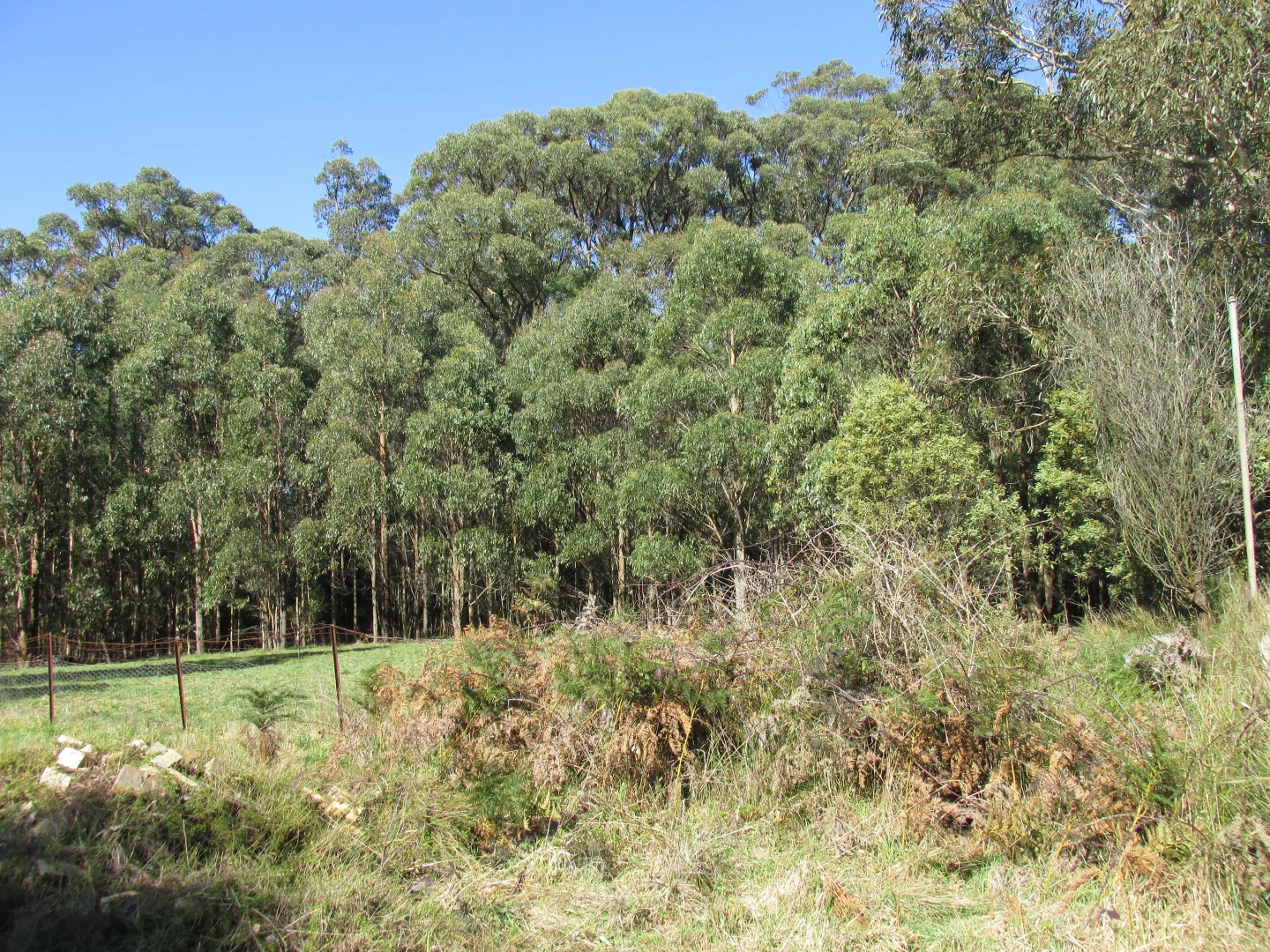 Additional image 10 of 316 Whittlesea-Kinglake Road, Kinglake Central VIC 3757