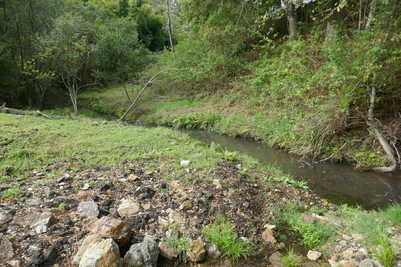 Additional image 22 of 66 Old Tweed Road, Wadeville NSW 2474