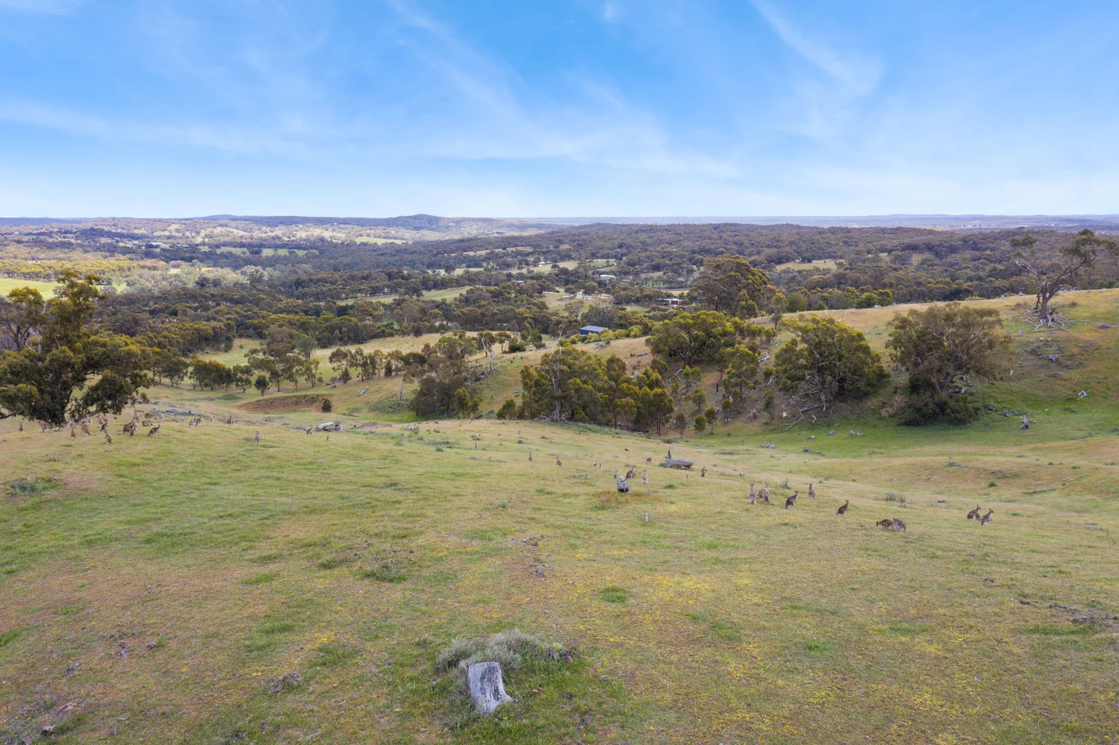 Additional image 6 of 49 Carramar Drive, Sedgwick VIC 3551
