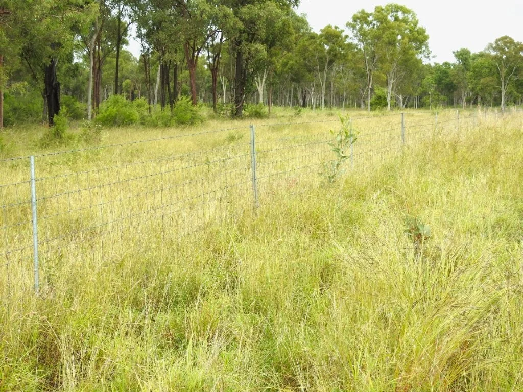 Additional image 27 of Cape River/22386 Flinders Highway, Pentland QLD 4816