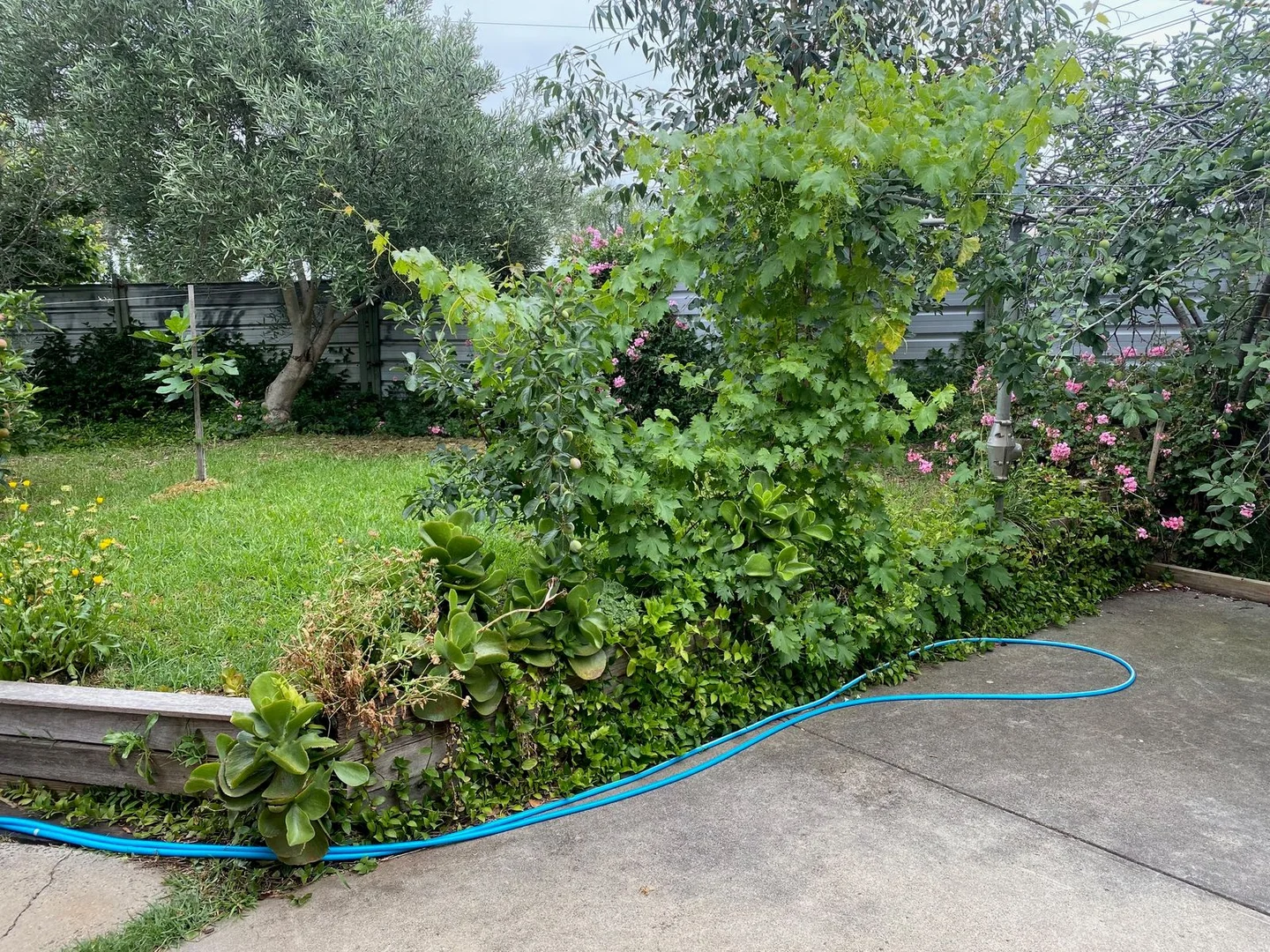 Additional image 38 of 36 Jamieson Street, St Albans VIC 3021