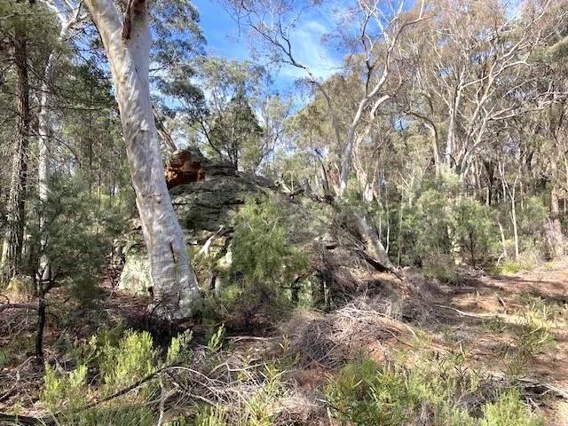 Additional image 4 of 150 Reedy Creek Road, Rylstone NSW 2849