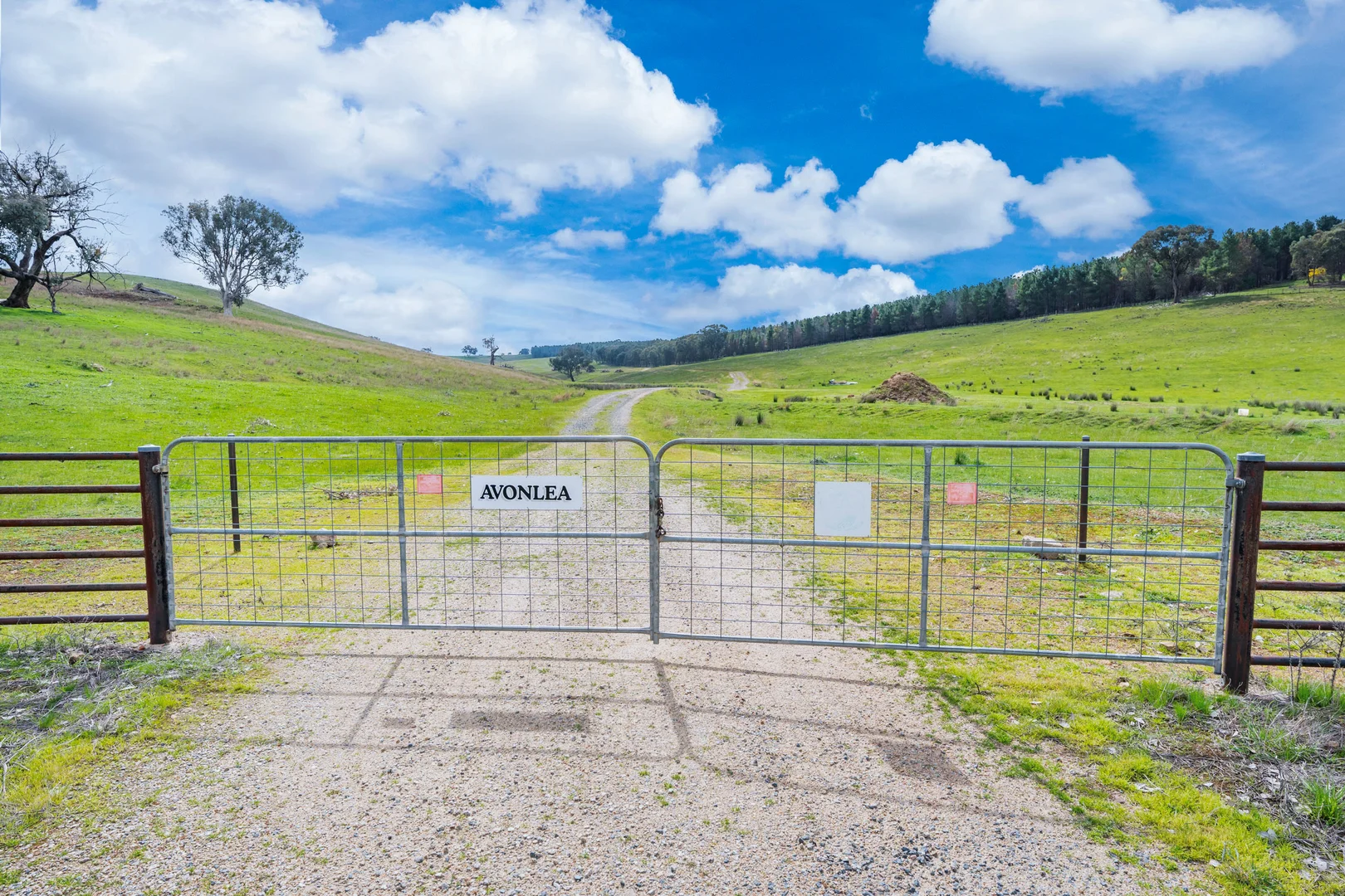 Additional image 2 of 1510 Culcairn Holbrook Road, Morven NSW 2660