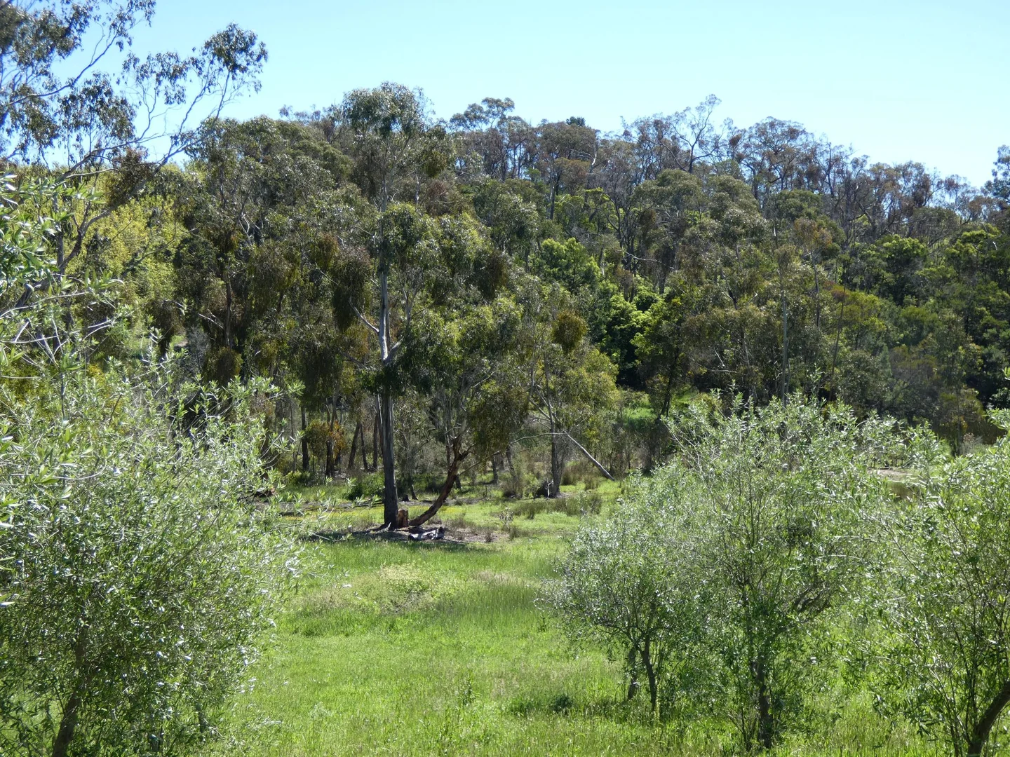 Additional image 27 of 21 Gruyere Road, Gruyere VIC 3770