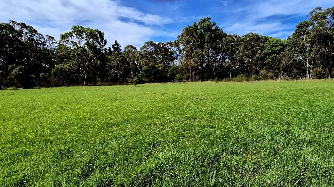 Additional image 9 of 85 Government Road, Bargo NSW 2574