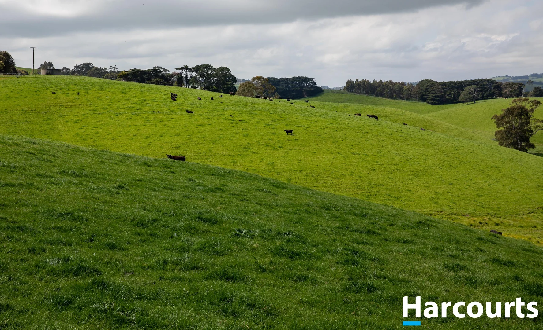 Additional image 14 of 715 Falls Road, Fish Creek VIC 3959