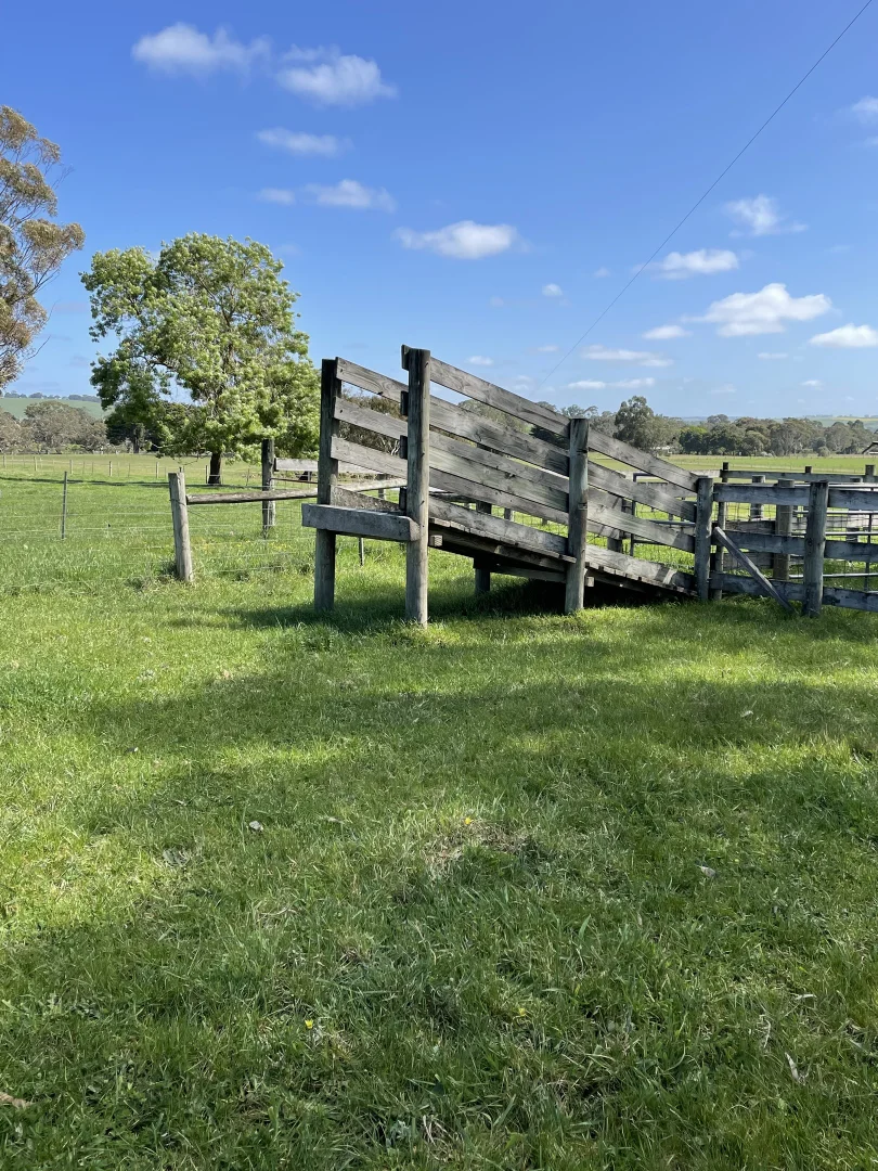 Additional image 16 of 138 McConachys Road, Henty VIC 3312