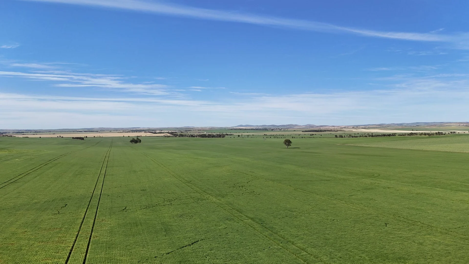 Additional image 6 of 'Pinefield' 186 Catford Rd, Appila SA 5480