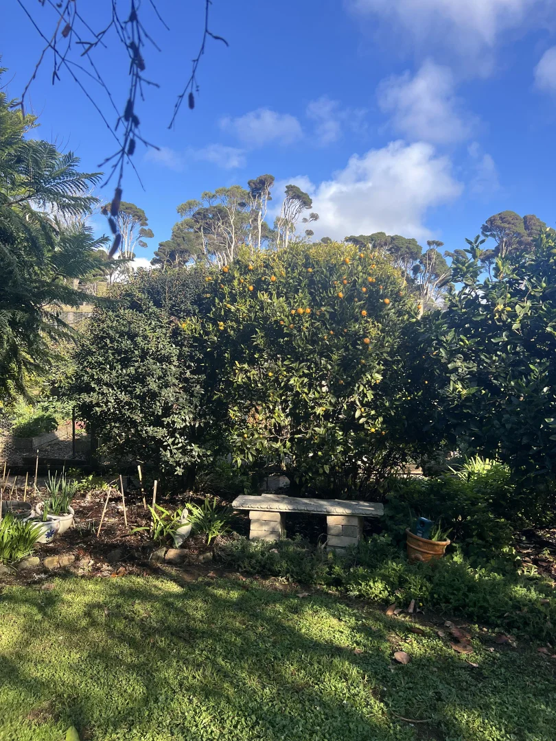 Additional image 37 of 19 Forrest Street, Naracoopa TAS 7256