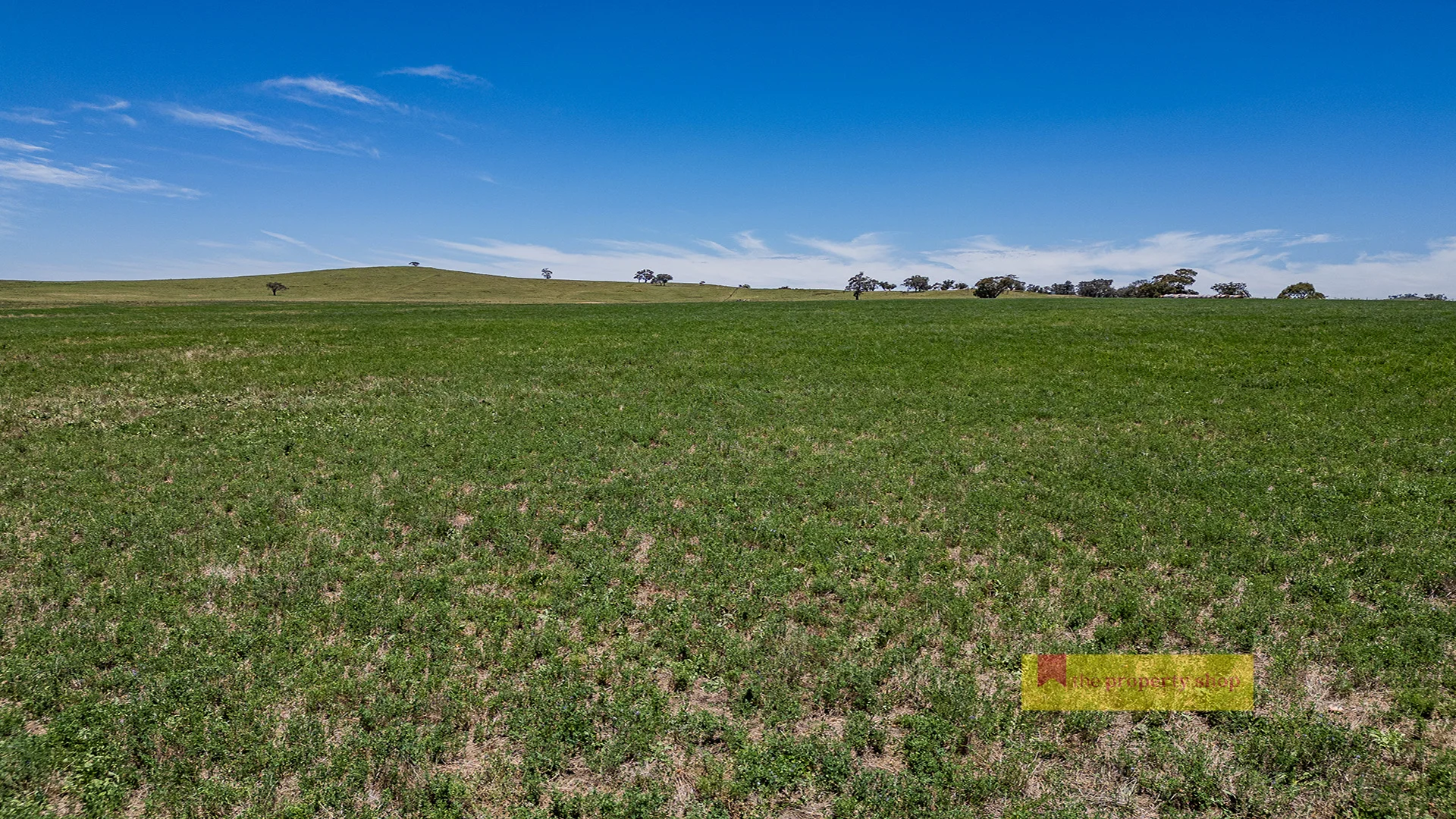 Additional image 5 of 735 Kaludabah Road, Mudgee NSW 2850