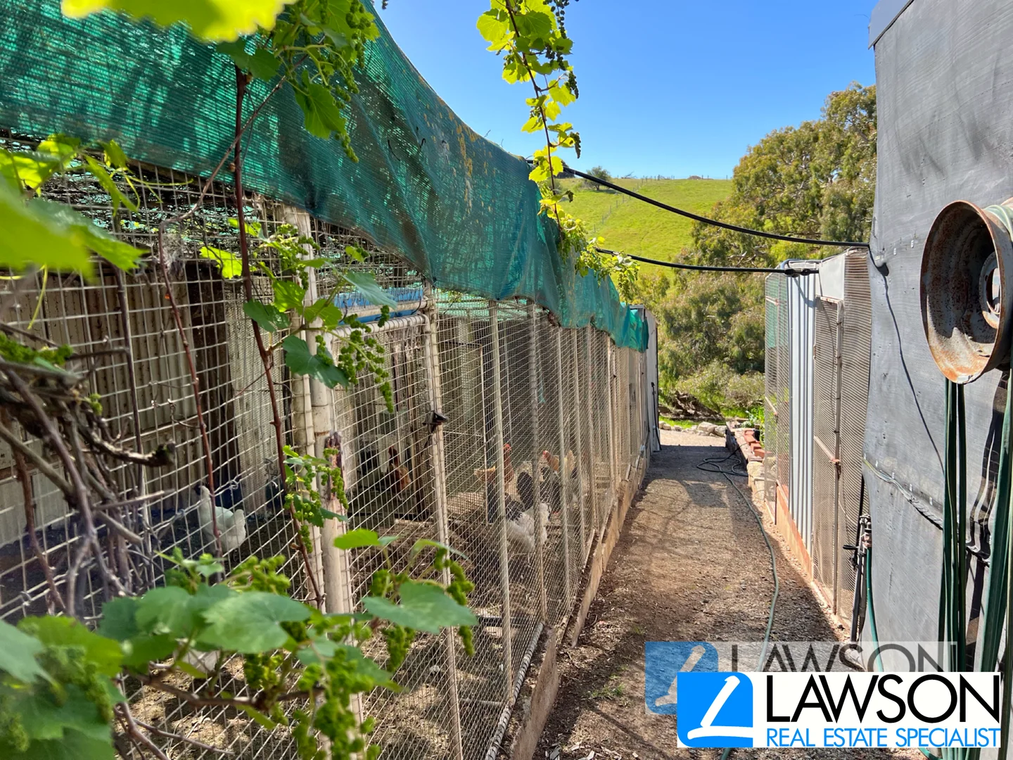 Additional image 24 of 16-32 Richardson Road, Boston SA 5607