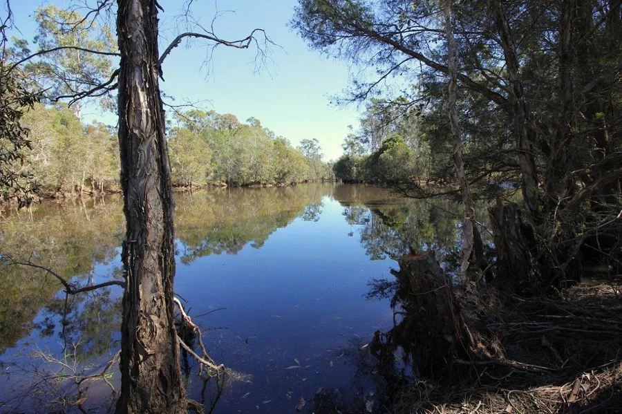 Additional image 29 of 684 Taunton Road, Taunton QLD 4674