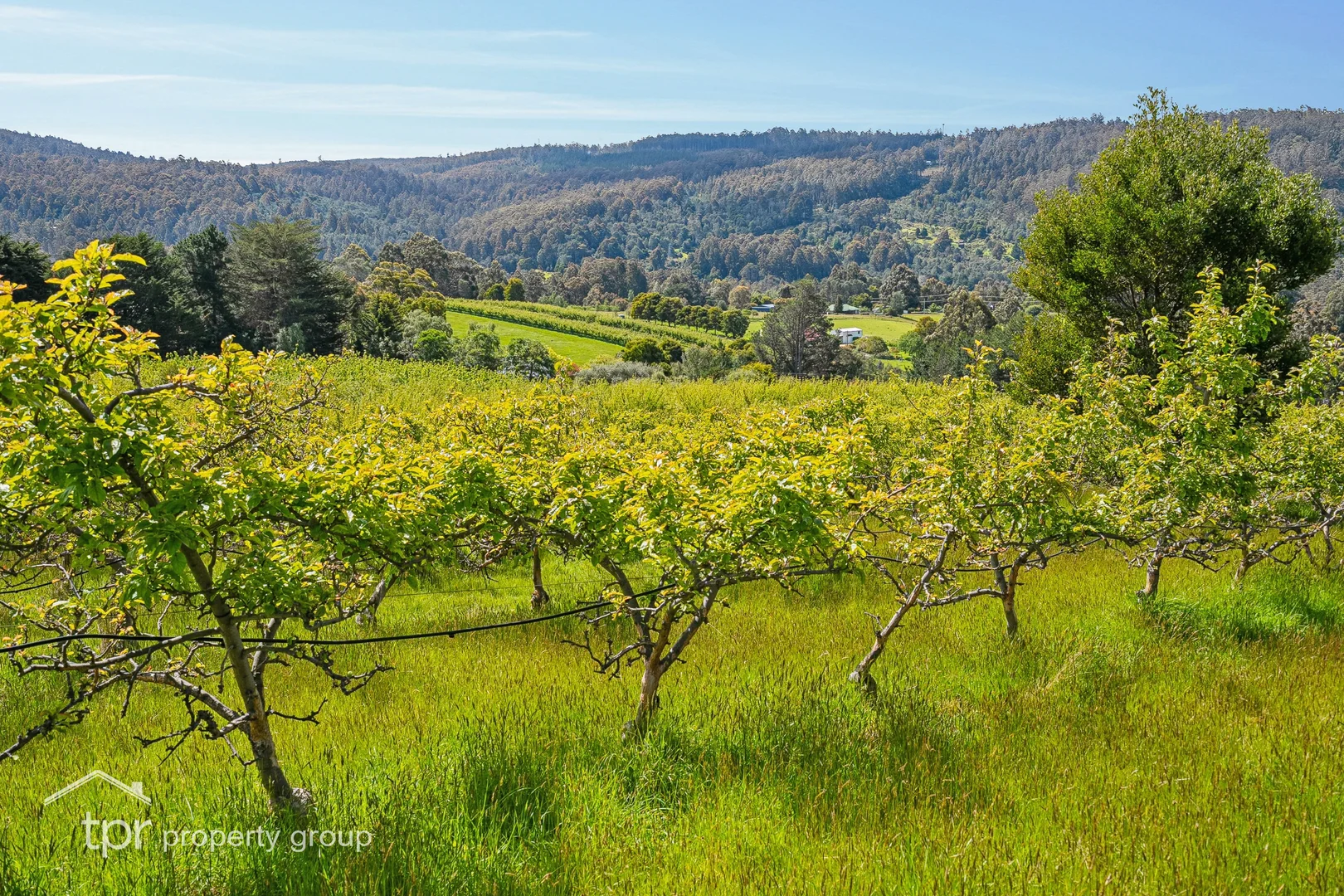 Additional image 24 of Lot 1 Braeside Road, Franklin TAS 7113