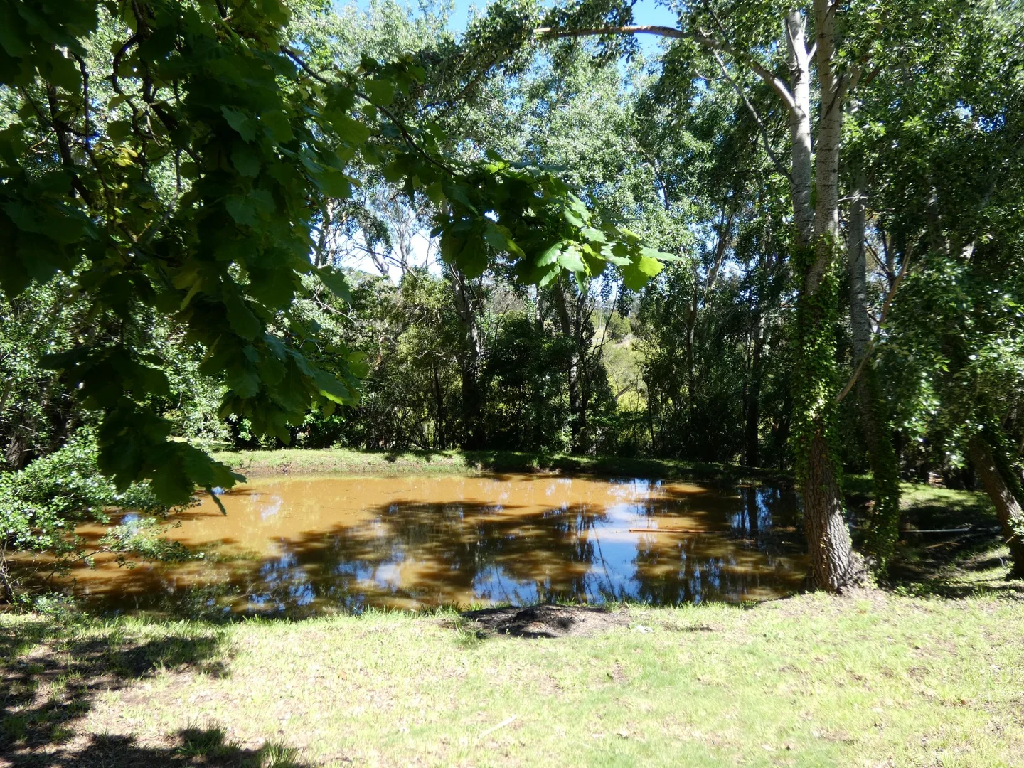 Additional image 25 of 21 Gruyere Road, Gruyere VIC 3770