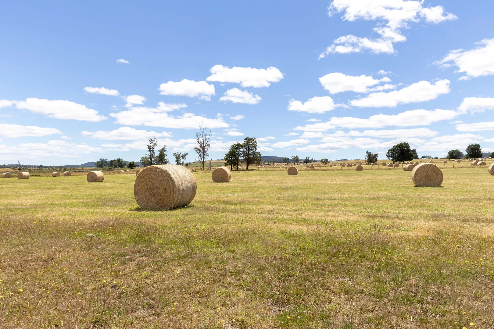 Additional image 16 of 723 Parkham Road, Parkham TAS 7304