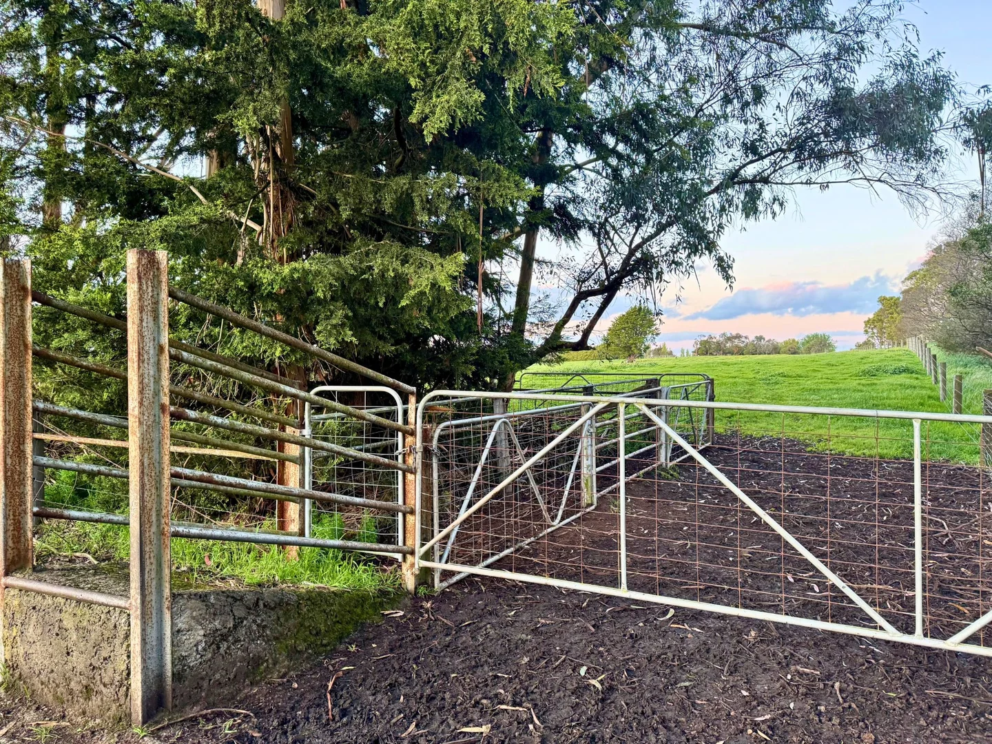 Additional image 3 of . Naroghid Road, Camperdown VIC 3260
