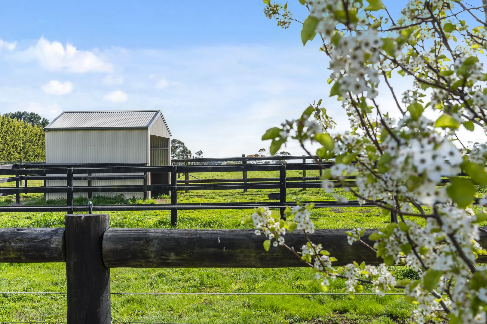 Additional image 22 of 3119 Melbourne-Lancefield Road, Romsey VIC 3434