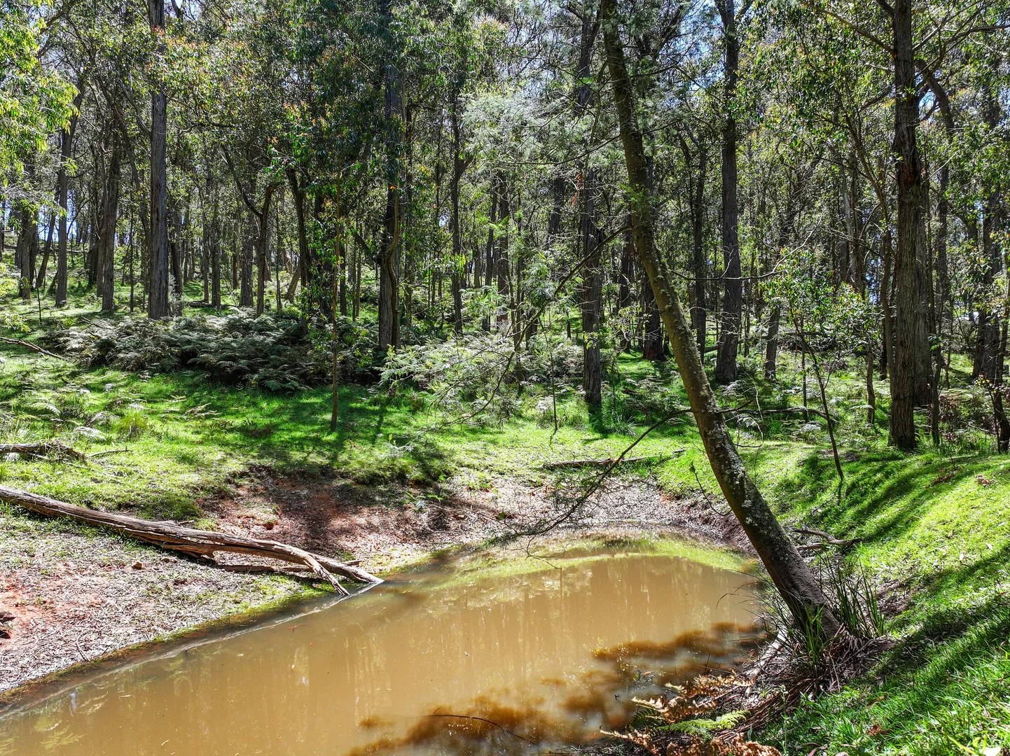 Additional image 18 of 12 Bluebell Road, Braidwood NSW 2622