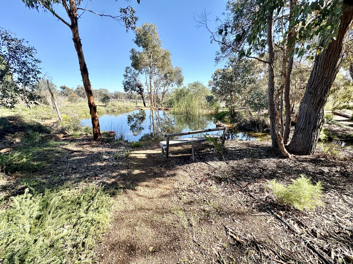 Additional image 40 of 586 Wandering-Pingelly Road, Wandering WA 6308