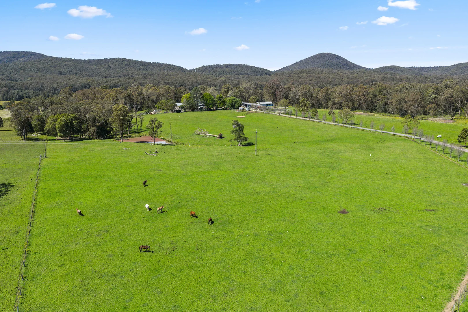 Additional image 6 of 1640 The Buckettsway, Allworth NSW 2425