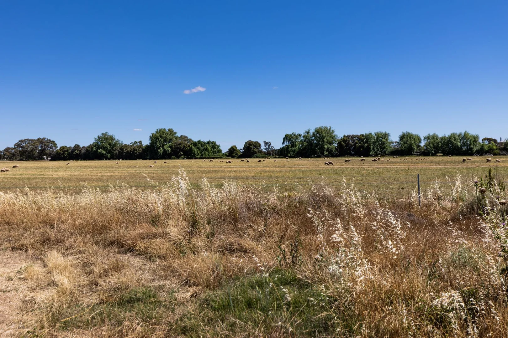 Additional image 43 of 59 Kennedys Road, Cohuna VIC 3568